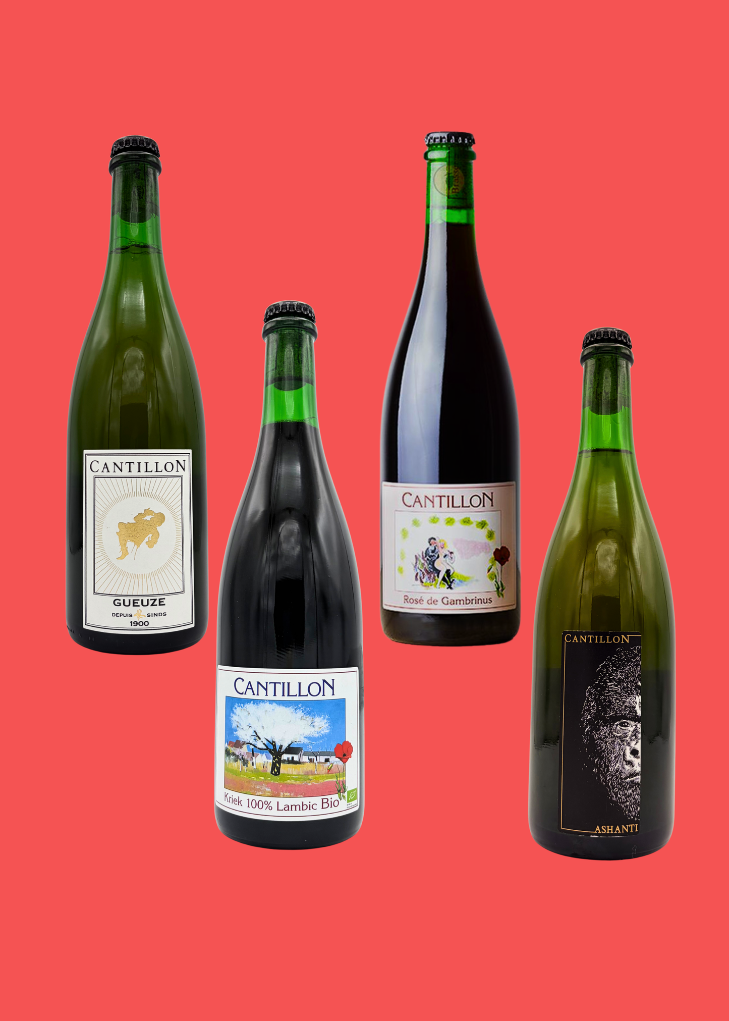 Cantillon box: Gueuze, Kriek, Rosé de Gambrinus & Ashanti