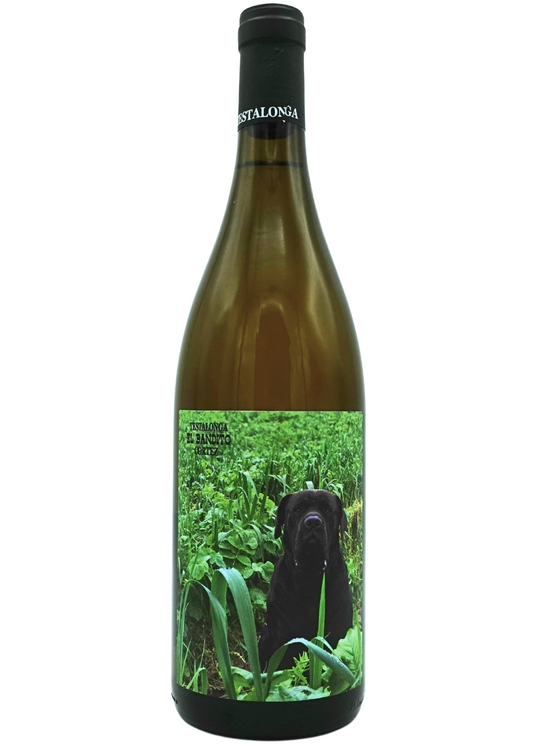 Testalonga El Bandito Cortez 2023