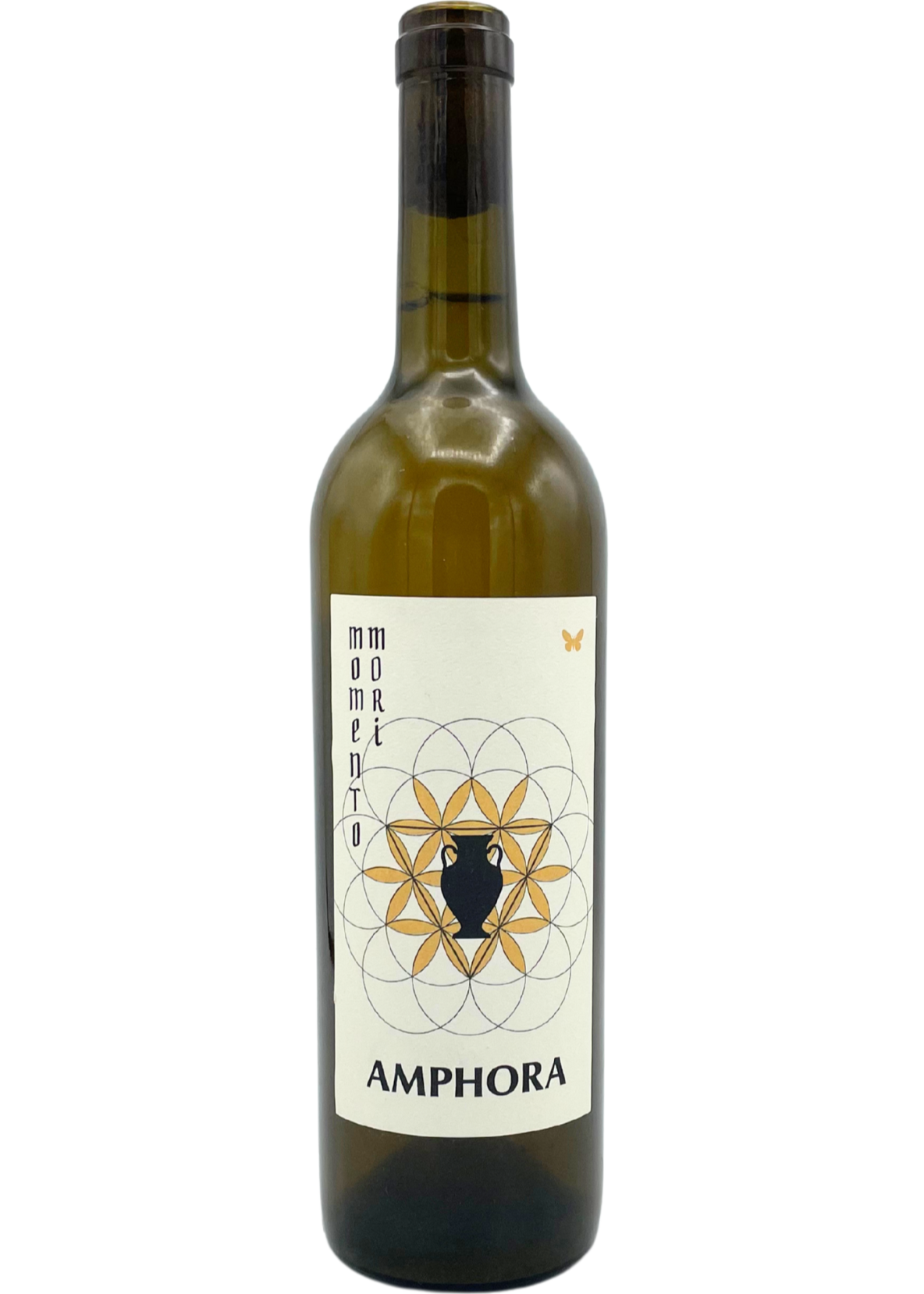 Momento Mori Amphora Grillo 2023