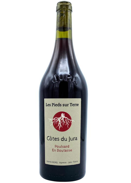 Valentin Morel Poulsard En Boutasse 2023